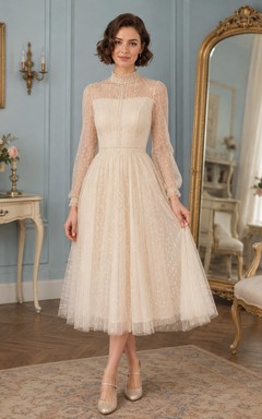 Champagnerfarbenes, hochgeschlossenes, langärmeliges A-Linien-Kleid in Teelänge im dezenten Vintage-Stil