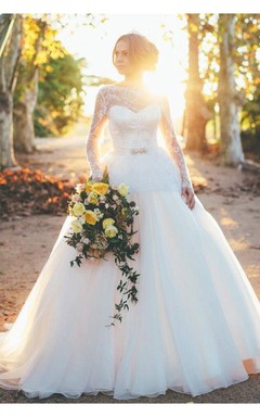 Gorgeous Long Sleeve Lace Wedding Dresses Princess Open Back