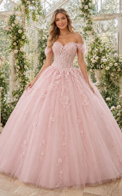 Robe de bal romantique de princesse à épaules dénudées et décolleté cœur en dentelle florale Blush Greenhouse