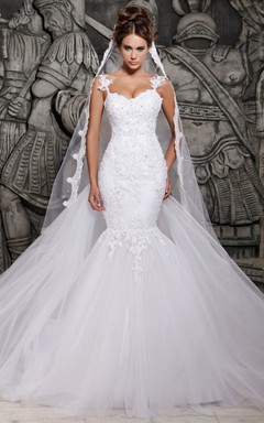 Magnificent Lace and Tulle Mermaid Bride Dress with Wedding Veil