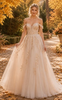 Champagne Autumn Off Shoulder Embroidered Tulle A-Line Wedding Dress