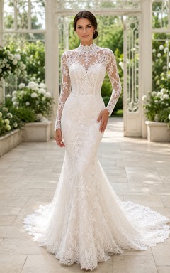 Modest High Neck Long Sleeve Allover Lace Mermaid Illusion Back Chapel Gown