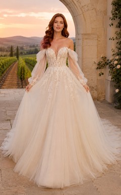 Off-the-Shoulder Tulle Ball Gown Wedding Dress