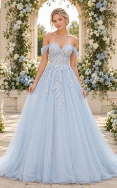 Blue Off Shoulder Lace Tulle A Line Garden Wedding Dress