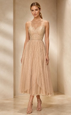 Champagne Illusion Mesh Overlay Midi Occasion Dress