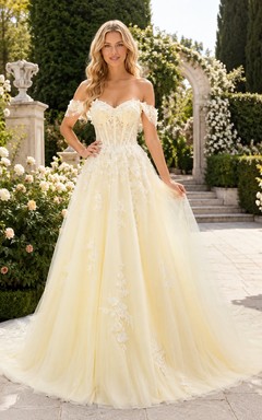 Vestido de novia elegante de estilo bohemio romántico con hombros descubiertos, edición C, corte A y encaje.