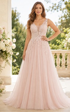 Blush V Neck Lace Bodice Tulle A Line Dress
