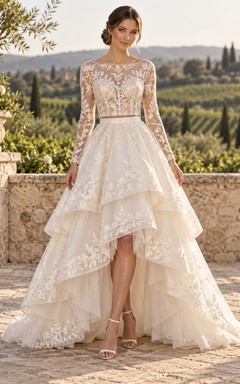 Two Piece High-low Long Sleeve Embroidered Tulle Wedding Dress