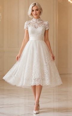 Vintage-Tüllkleid in Teelänge, schlicht und elegant, mit hohem Kragen und kurzen Ärmeln