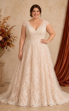 Fall Plus Size V-Neck Lace A-Line Wedding Dress