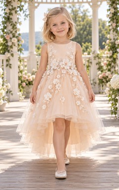 High-low Blush Sleeveless Floral Waist Tulle Flower Girl Dress