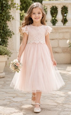 Blush Lace Bodice Tulle A-Line Flower Girl Dress with Short Sleeves, Jewel Neck and Tea-Length Skirt