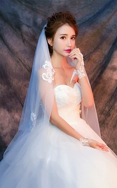 Simple Puffy Short Tulle Wedding Veil with Appliques