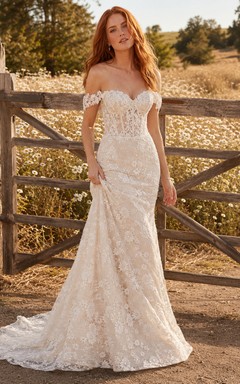 Robe de mariée champêtre en dentelle, coupe sirène, col V, sans manches, traîne chapelle, dos nu