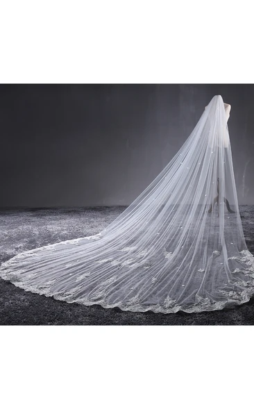 Ethereal Tulle Cathedral Wedding Veil with Lace Edge and Flower Appliques