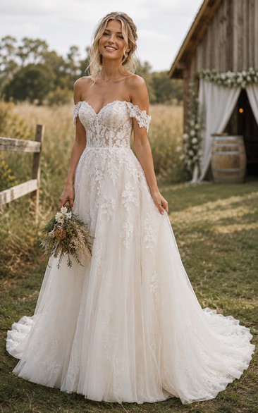 Country Off-the-shoulder Tulle A-line Wedding Dress with Lace