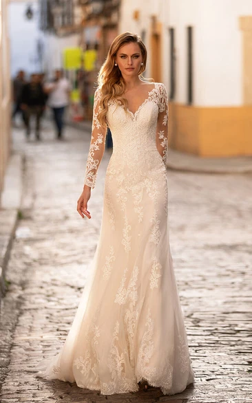 Elegant Illusion Long Sleeve Sheath V-neck Wedding Dress
