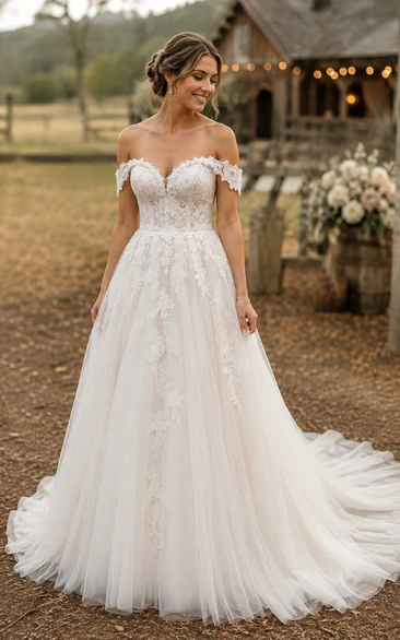 Country Off-the-shoulder Tulle A-line Wedding Dress with Lace
