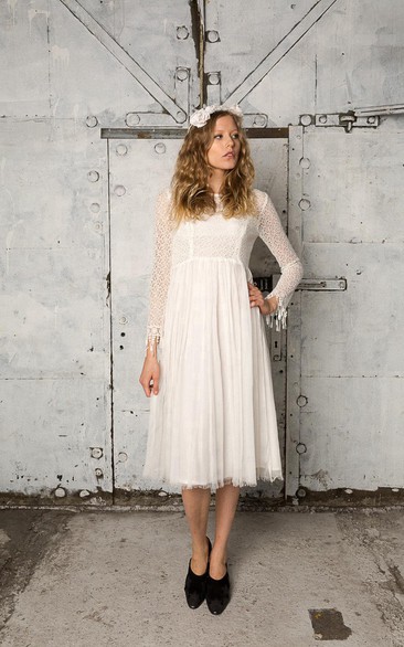 Long Sleeve A-Line Tulle Dress With Lace Bodice and Pleated Skirt