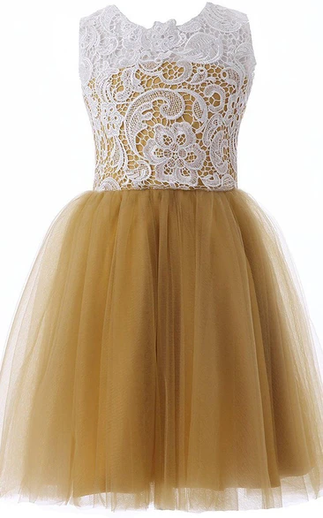 Sleeveless A-line Dress With Tulle and Lace Bodice
