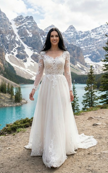 Long Sleeve Lace Applique Tulle A-Line Dress