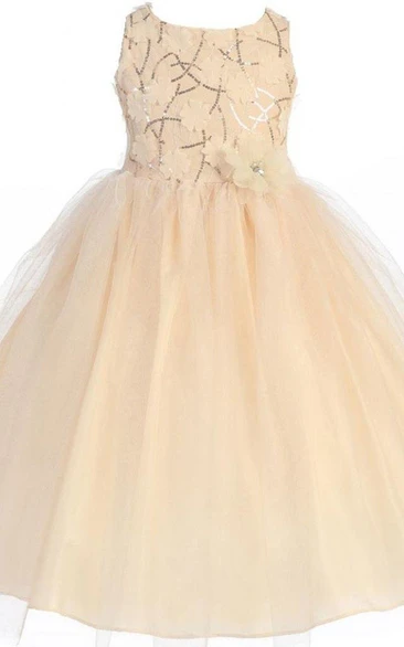 Sleeveless Scoop-neck A-line Dress With Appliques