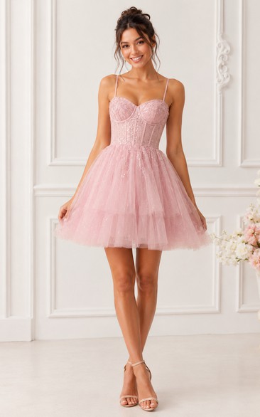 Cute Blush Corset Tulle Mini Homecoming Dress
