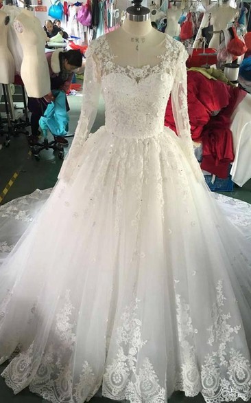 Long Sleeve Lace Appliqued Organza Dress With Illusion Back