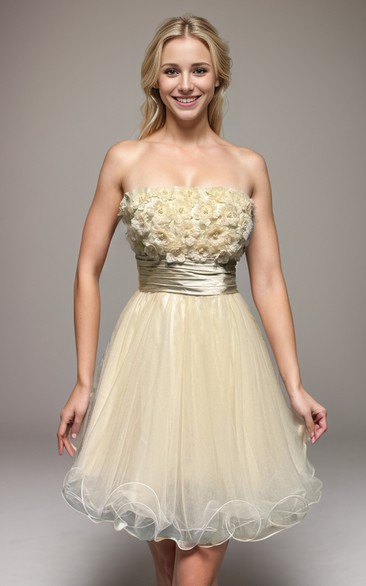 Champagne Casual A-Line Short Empire Tulle Dress With Flowers