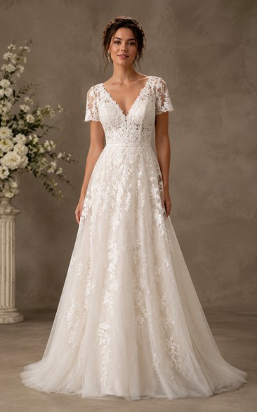 Short Sleeve Lace A-Line Wedding Dress with V-Neck and Soft Chapel Train