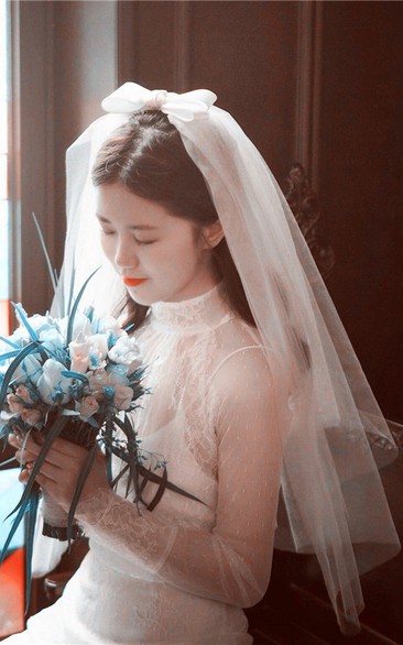 Simple Wedding Veil With Bow