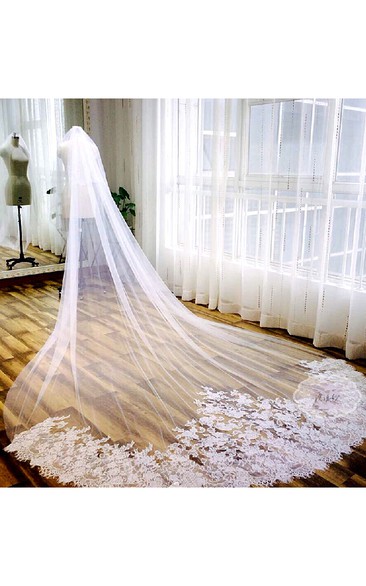 Romantic Tulle Long Wedding Veil with Lace Edge
