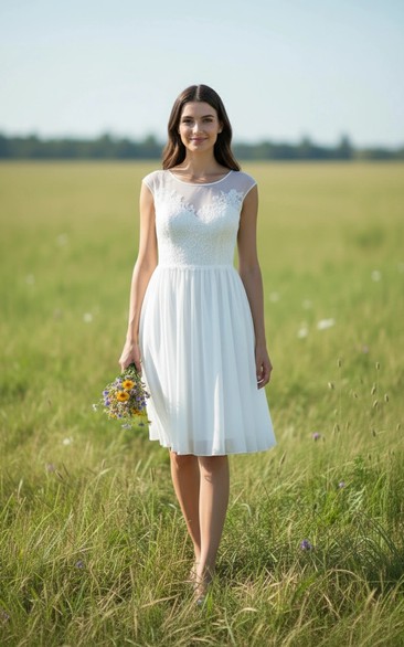 Breezy Knee-Length Lace Chiffon Frock