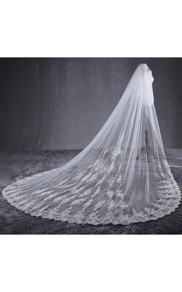 Ethereal Cathedral Tulle Wedding Veil with Lace Appliques