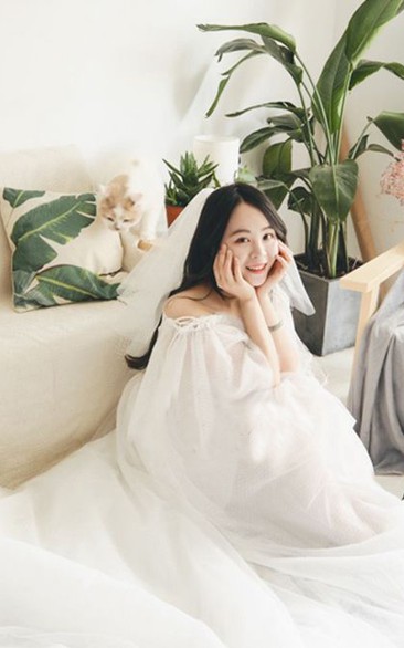 Simple Style Multi-Layer Tulle Mesh Wedding Veil