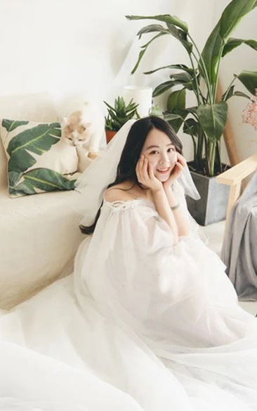 Simple Style Multi-Layer Tulle Mesh Wedding Veil