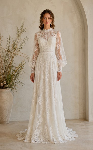 Modest Sheath Wedding Dress Long Sleeve High Neck Lace Applique Floor Length Chapel Train Ivory