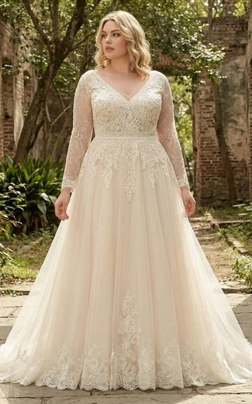 Simple V-Neck Long Sleeve Wedding Gown