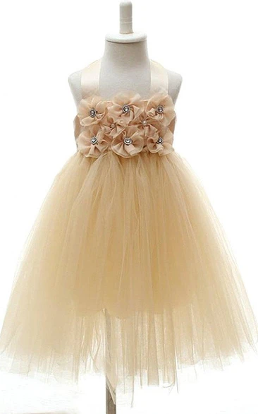 Sleeveless Haltered A-line Dress With Flowers and Pleats