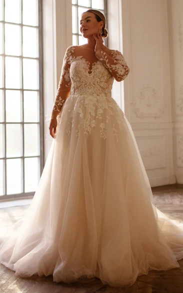 Sexy Plus Size Ball Gown Bateau Lace Illusion Tulle A-line Sweep Train Wedding Dress with Appliques