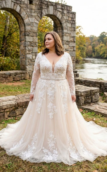 Backless Long Sleeve Lace Wedding Gown