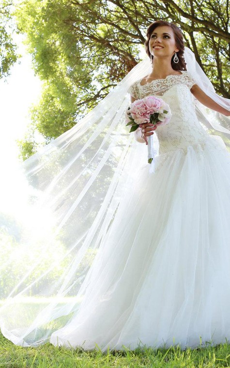 Lace-Bodice Tulle Cap Sleeve A-Line Bridal Gown With Illusion Back - 3
