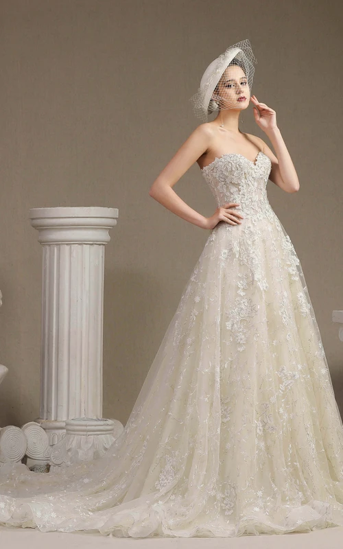 Prinzessinnen-Brautkleid, ärmellos, Ballkleid in A-Linie, aus Spitze, mit Stäbchen und floralen Applikationen