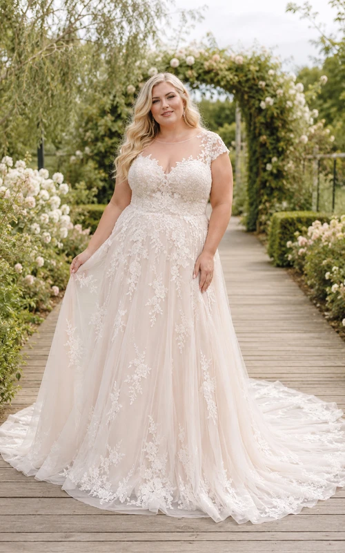 Plus Size Blushing Pink V-Neck Lace A-Line Wedding Dress Train