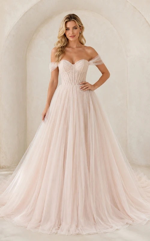 Blush Off-the-Shoulder Sleeveless Corset Tulle A-Line Sweep Train Prom Dress