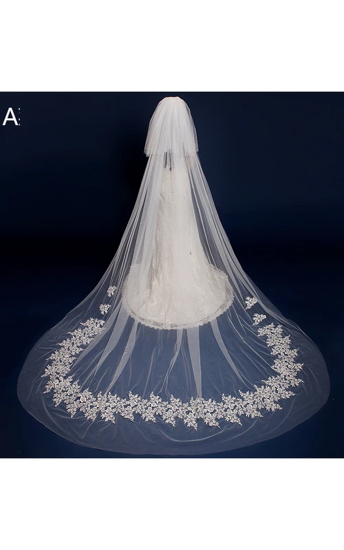 Nouvelles appliques en dentelle de style occidental, voile de traîne de 3 mètres de long avec cryptage