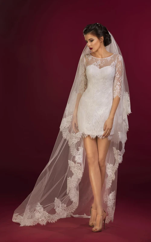 Vestido de encaje transparente corto con mangas cortas y efecto ilusión de campana y cremallera.