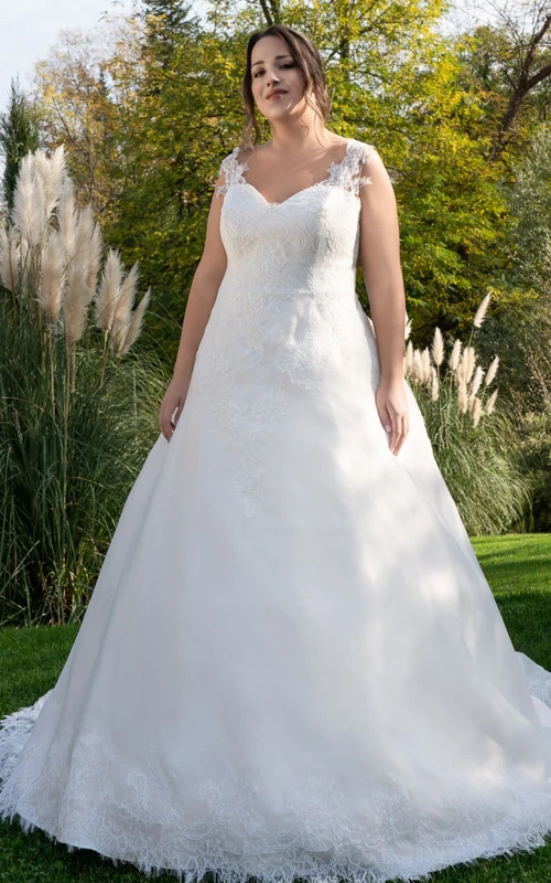 Vestido de novia sencillo de tul estilo Reina Ana sin mangas con apliques y cremallera.