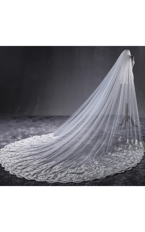 Voile long en tulle orné de dentelle romantique et de strass