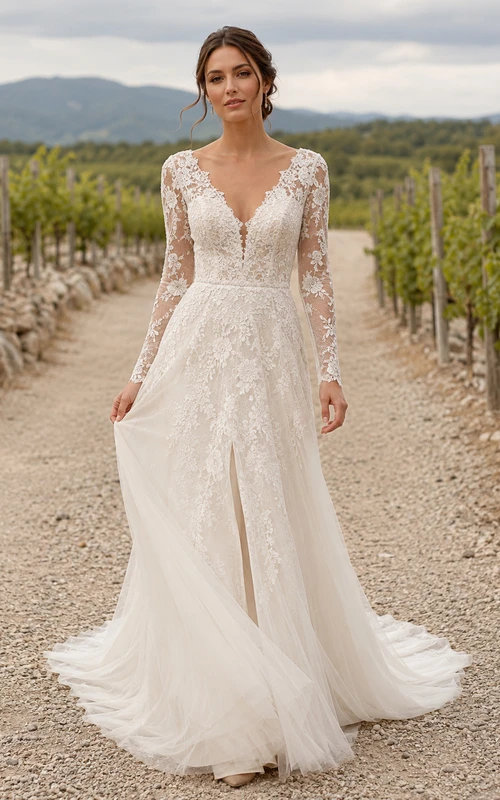 Rustic V Neck Long Illusion Lace Sleeve A Line Chapel Wedding Gown